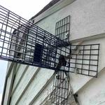 North Shore Wildlife - photo 2