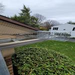 North Shore Wildlife - photo 3