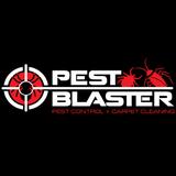 pestblaster - Pest Control in Sydney