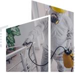 pestblaster - photo 5