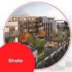 pestblaster - photo 6