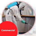 pestblaster - photo 8