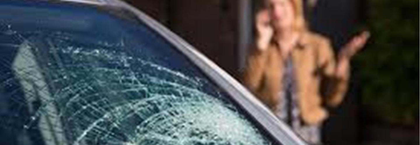 Valor Spirit Windshields cover photo