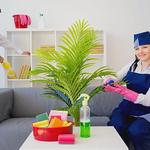 OZ Cleaning Perth - Perth Cleaners - photo 6