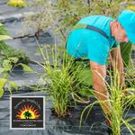 Serafini's Landscaping, Inc. - photo 1