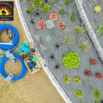 Serafini's Landscaping, Inc. - photo 3