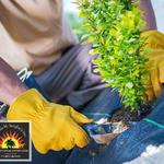 Serafini's Landscaping, Inc. - photo 5