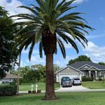 Serafini's Landscaping, Inc. - photo 8