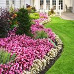 Serafini's Landscaping, Inc. - photo 10