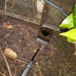 Done Right Rodent Proofing - photo 3