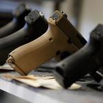 Gunsbone - photo 1