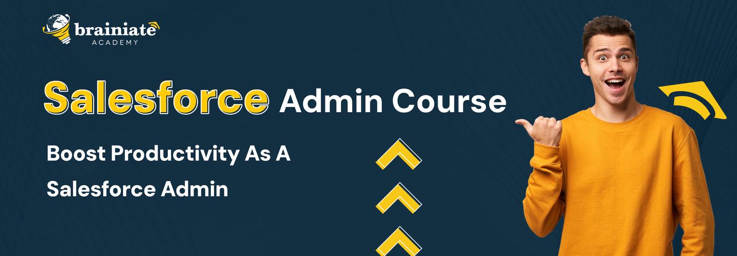 Brainiate Academy Sales Force Courses 		 			 cover photo