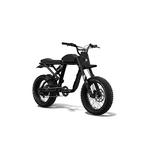 eStar Rides - photo 6