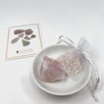 Ariana Ost - photo 6