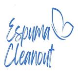 Espuma Cleanout - Professional Services in Las Vegas