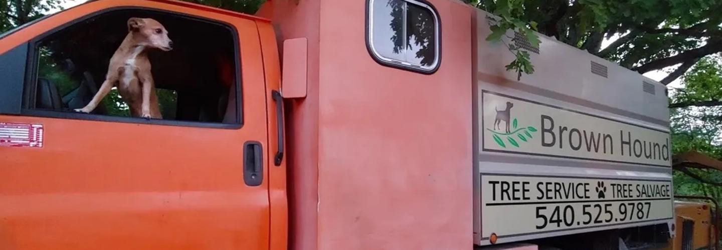 Brown Hound Tree Service cover photo