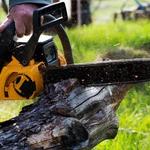 Brown Hound Tree Service - photo 1