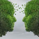 Brown Hound Tree Service - photo 2