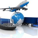 Snowbirds Auto Transporter Tallahassee - photo 3