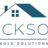 Mold Remediation Jackson MI Pros - Home Services in Jackson