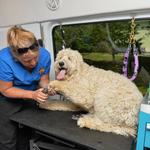 Aussie Pet Mobile of Bradenton & Lakewood Ranch - photo 2