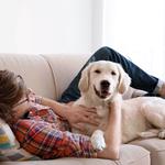 Aussie Pet Mobile of Bradenton & Lakewood Ranch - photo 3