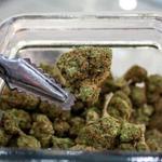 Star Buds Dispensary - photo 1