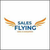 salesflying - Business Consulting in Pune