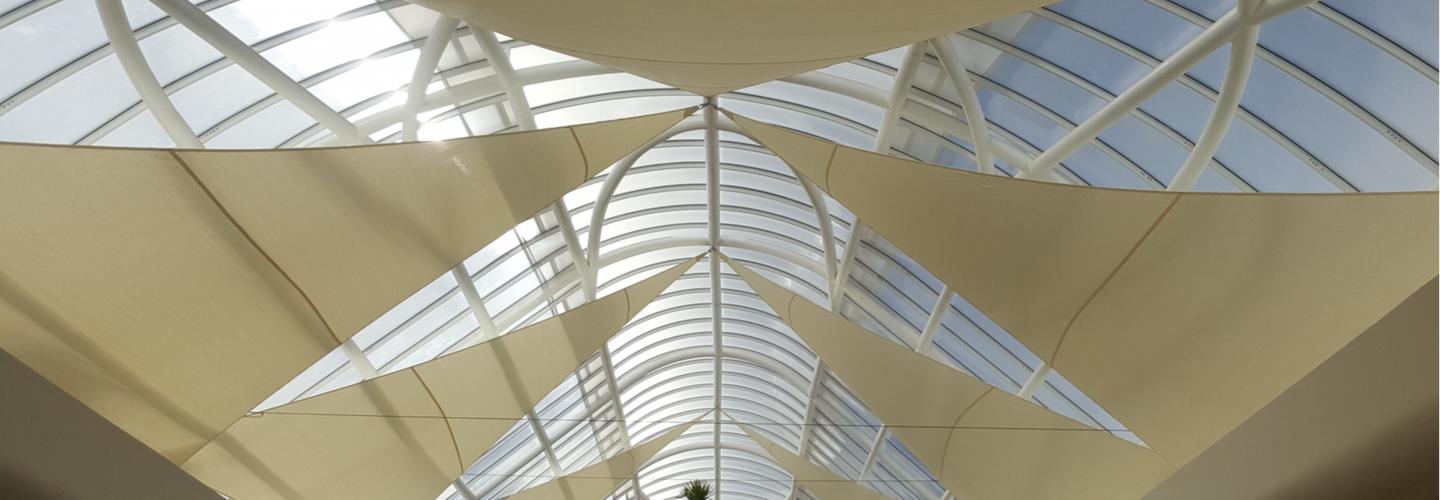 Commercial Umbrellas cover photo