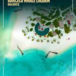 Virikson Holidays - photo 1