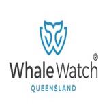 Whale Watch Queensland - Tours in Surfers Paradise