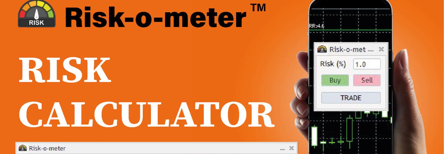 Riskometer Risk Calculator