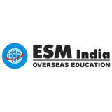 ESM Overseas - Professional Services in Chandigarh