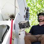 Elite Tree Care - photo 1