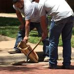 Canadian Concrete Repair And Leveling - photo 2