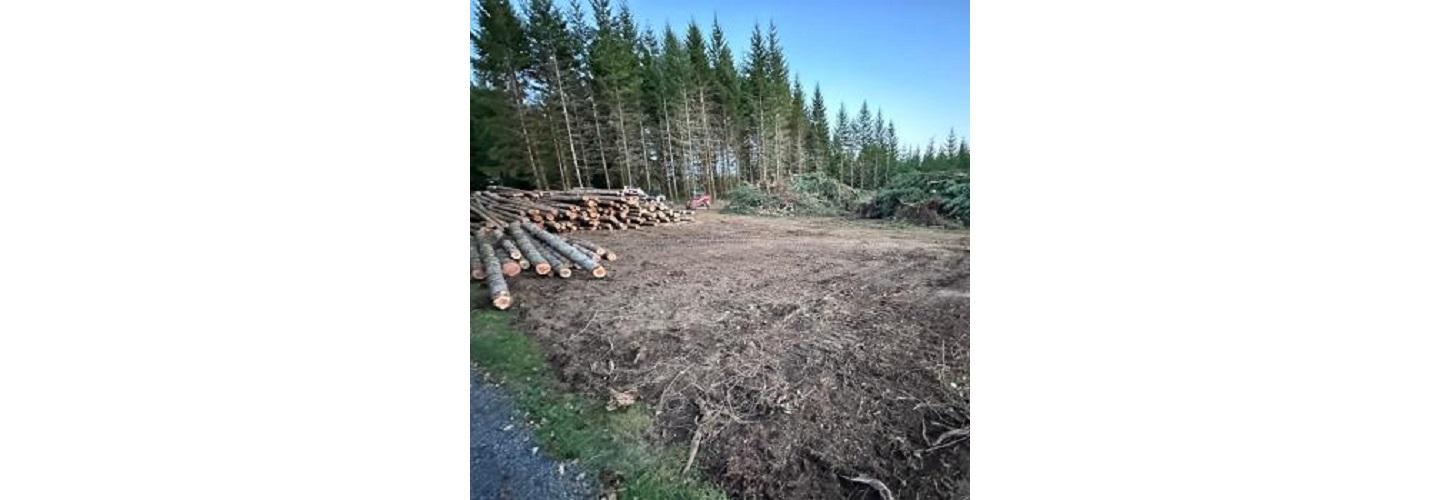 Oaks Corporation cover photo