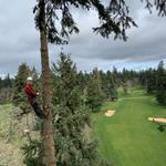 Oaks Corporation - photo 1