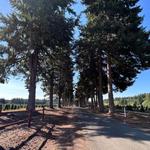 Oaks Corporation - photo 2