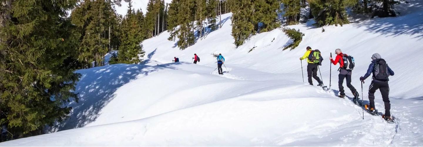 Glacier Institute cover photo