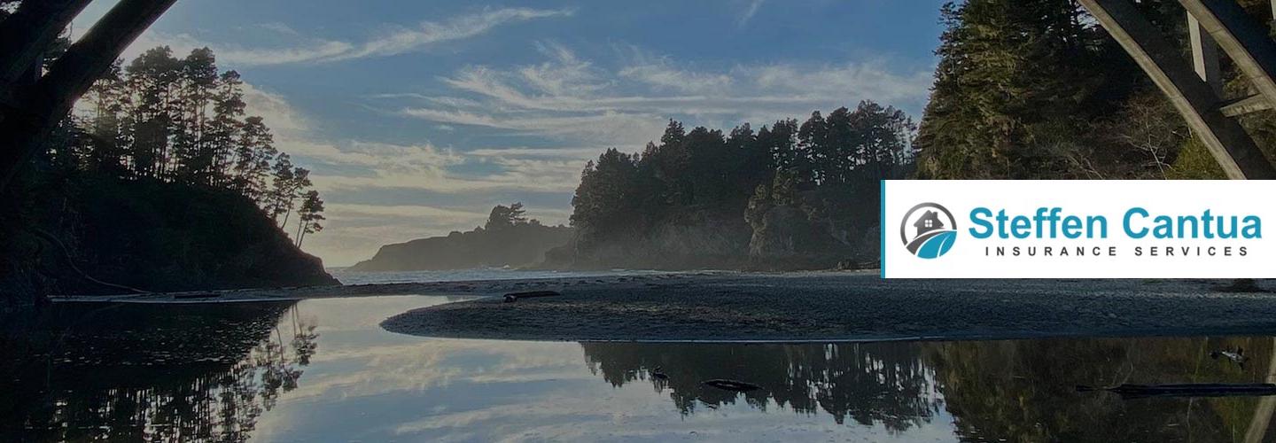 Steffen Cantua Insurance Services cover photo