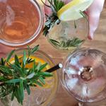 Ms Mary Newcastle - photo 1