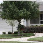 MGM Contracting Inc. - photo 2