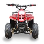 AFFORDABLE ATV - photo 3