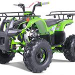AFFORDABLE ATV - photo 5