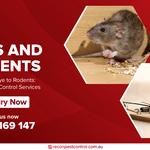 Recon Pest Control Melbourne - photo 2