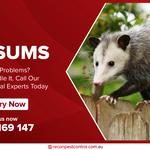 Recon Pest Control Melbourne - photo 3