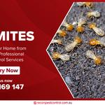 Recon Pest Control Melbourne - photo 4