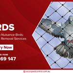 Recon Pest Control Melbourne - photo 5