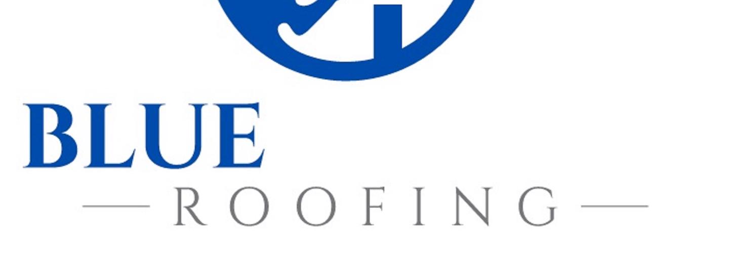 Blue Monkey Roofing cover photo