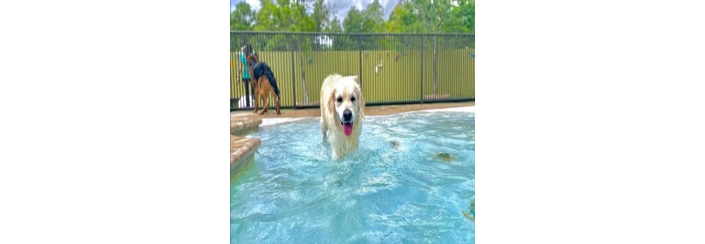 Business Closed cover photo